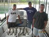 (07/27/2014) - Nice Striped Bass